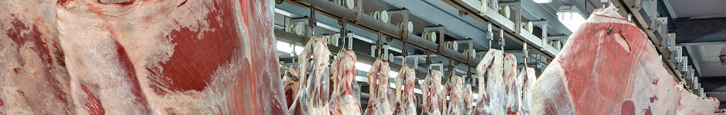 针破碎案例研究肉类加工猪肉脱发线钻石链公司图像